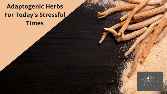 Adaptogenic Herbs For Today’s Stressful Times
