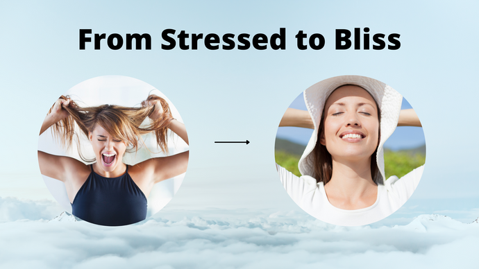 Stressed? Calming Solutions For Your Mind & Body